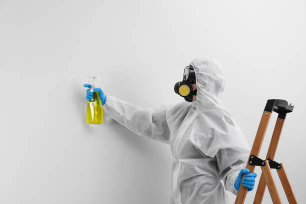 Mold Remediation for Rental Properties in Evart, MI